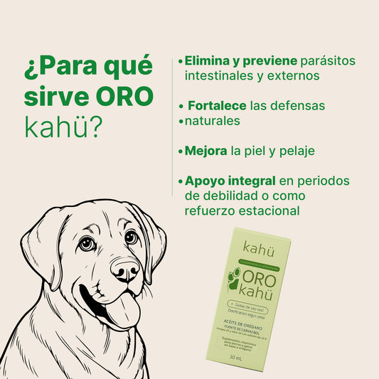ORO Kahü – Protección integral con aceites funcionales para perros y gatos