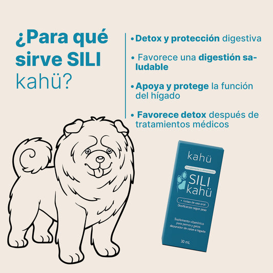 SILI Kahü – Detox hepático, digestivo y energético en gotas para perros y gatos