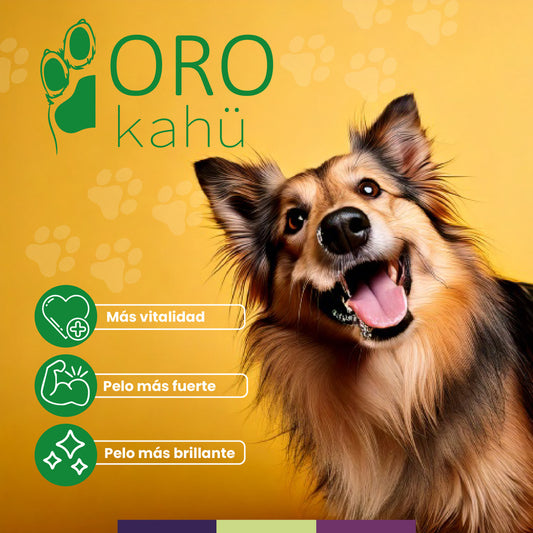 ORO KAHÜ – Protección integral con aceites funcionales para perros y gatos.
