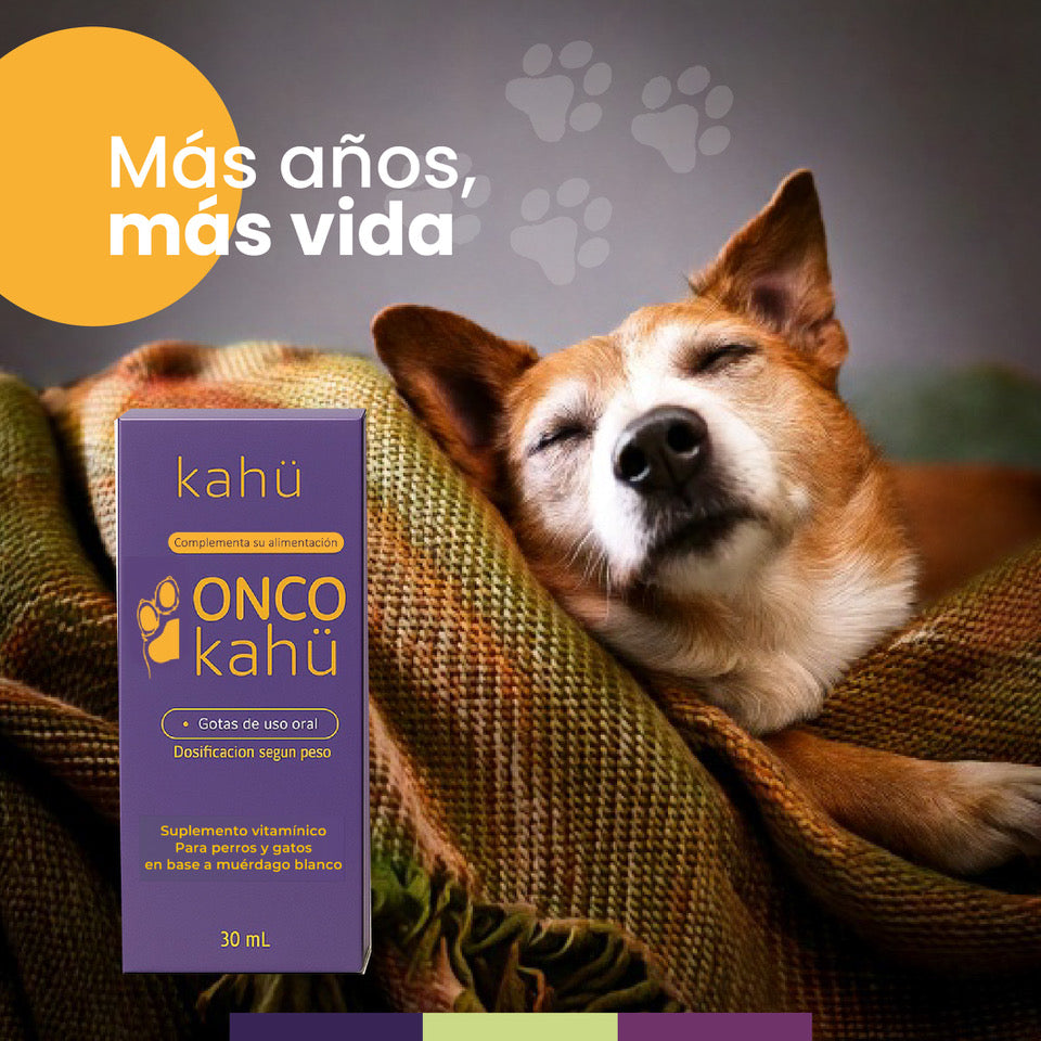 ONCO KAHÜ – Inmunidad avanzada en gotas para perros y gatos.
