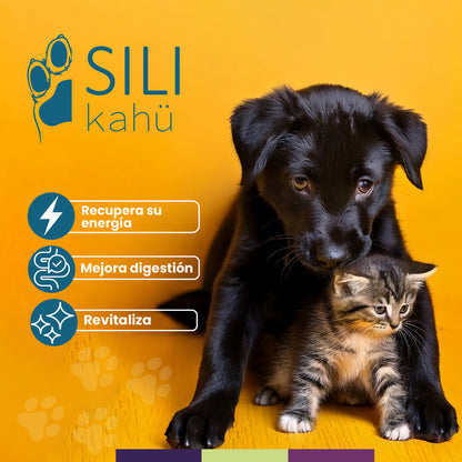 SILI KAHÜ - Protector Hepático y Digestivo Natural para Perros y Gatos